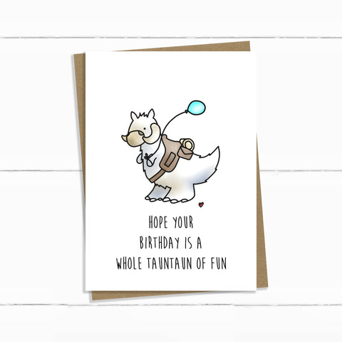 TAUN TAUN OF FUN BIRTHDAY