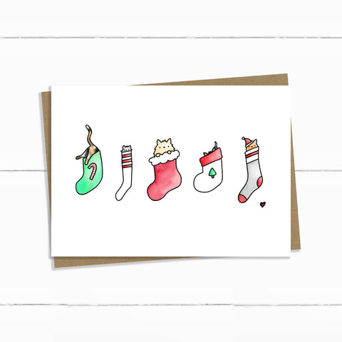 stocking cats