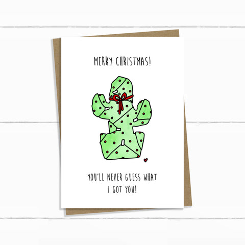 christmas cactus